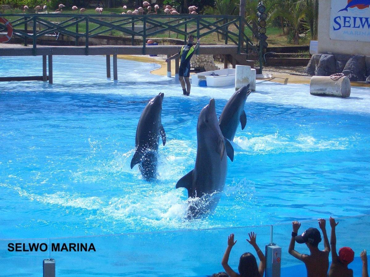 Estudio Benalbeach Primera Linea De Playa Benalmádena Zewnętrze zdjęcie